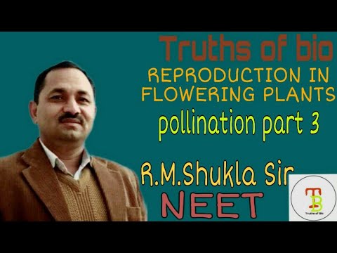 Zoophily and artificial hybridisation (Pollination) Reproduction in flowering plants (NEET) R.M. Sir