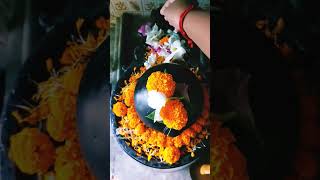 Special's And Special's Shiv Pujo #viralvideo #pujoshorts #pujovlog #shivshankar #special #mahakal..