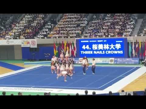 2023.11.25〜11.26 第35回全日本チアリーディング学生選手権大会【DIVISION.1桜美林大学】