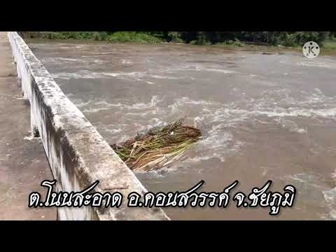 แม่น้ำชีล้นทะลักเข้าพื้นที่ ต.โนนสะอาด อ.คอนสวรรค์ จ.ชัยภูมิ