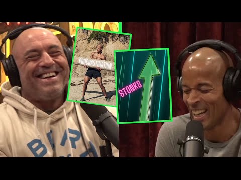 David Goggins: his MOTIVATION, PURPOSE and FAKE MOTIVATIONAL PEOPLE👌 #joerogan #davidgoggins
