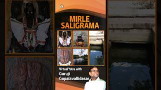 Yatra to Mirle Saligrama | Ancient Narasimha Temple | Swami Ramanujar | Mirle (Mithila) Saligrama