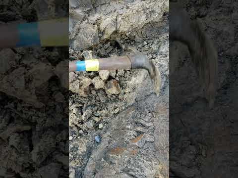 Opening Up Gold Bearing Quartz Vein on Surface Bedrock #goldmining #bedrock #quartzvein
