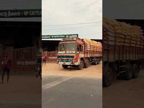 RP Cattle Feeds Palani 9655735370 , 7871052880 , 9789409196 . #cattlefeeds #cowfeed #farming #feed