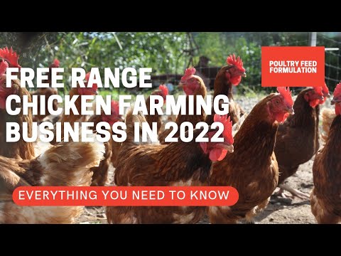 How to Start Free Range Chicken Farming Business (HD Quality)