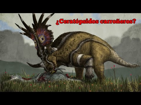 Ceratópsidos Carroñeros
