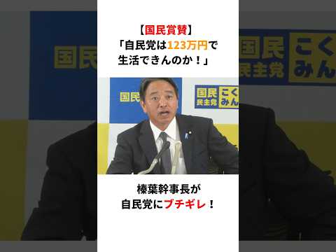 【国民称賛】榛葉幹事長「自民党は123万円で生活できんのか！」自民党にブチギレ！