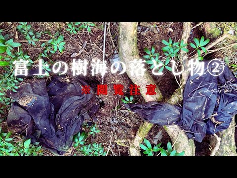 ⚠閲覧注意⚠！！富士の樹海の落とし物②