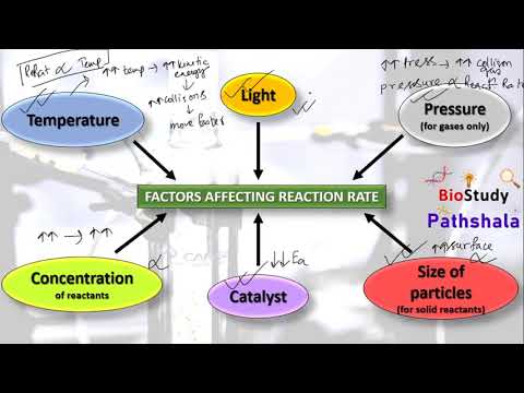 REACTION KINETICS || Biochemistry || BioStudy Pathshala ||  Life Sciences