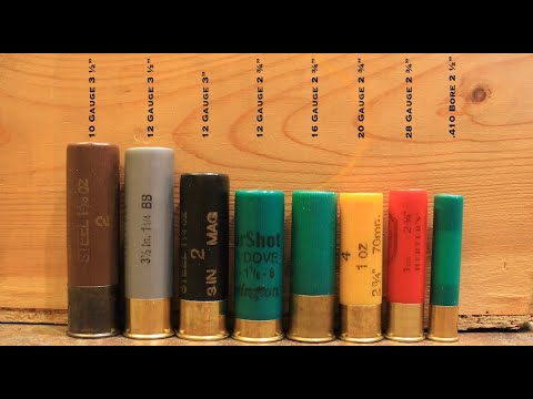 Shotgun Gauges: The Ultimate Guide To 12 Gauge, 16 Gauge, 20 Gauge, 28 Gauge, and 410 Bore Sizes