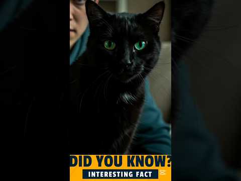 Is Your Cat a Psychopath? Scientists Reveal the Shocking Test!