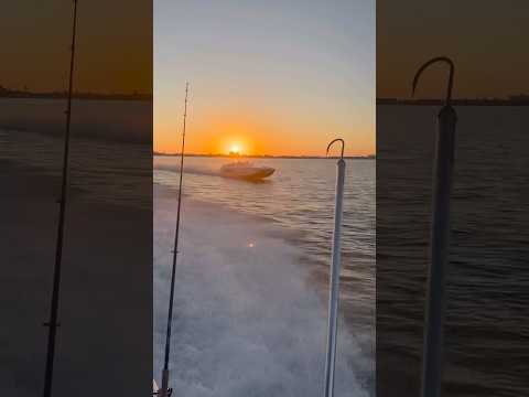 How fast are they going? 🤯 💨💨💨. #fishing #boating