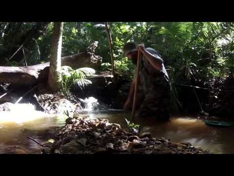 Rainforest Gold! Sluice n Time.