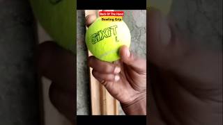 Back Of The Hand Bowling Grip #cricket #viralcricketshorts #trendingcricketshorts #ytcricketshorts