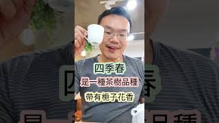 梔子花香 + 綠茶鮮味 + 包種茶香｜四季春焙茶｜Sijichun｜佛心價 $100｜TEA ROOM｜誠品生活時光