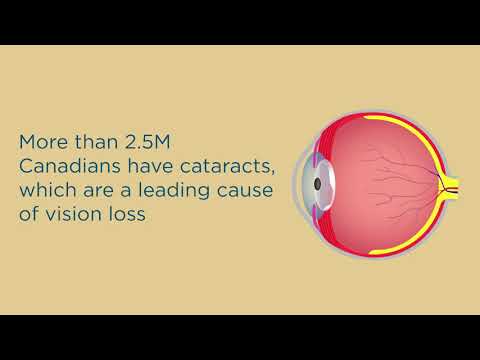 Eye Care At Every Age: Golden Years