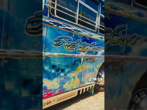 කවුත මේ ❤️😁 #srilanka #busdj #dj #bussrilanka #2023 #colletion