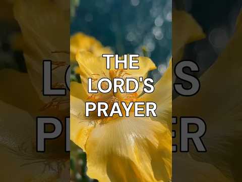 The Lord's Prayer Provision and Gratitude