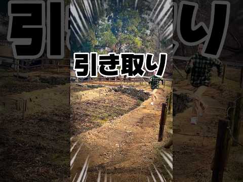 金魚のお引き取りへ行ってきました！90センチ水槽もお引き取りさせていただきました！これからも保護活動頑張ります！#金魚#金魚引き取り#長野県#岡谷市