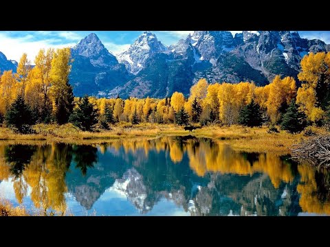 Relaxing Sounds To Help Cure Insomnia in 2022. Music, Meditation Music, Sleeping music 1