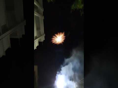 Sunshine fireworks 100 shots (Action replay)