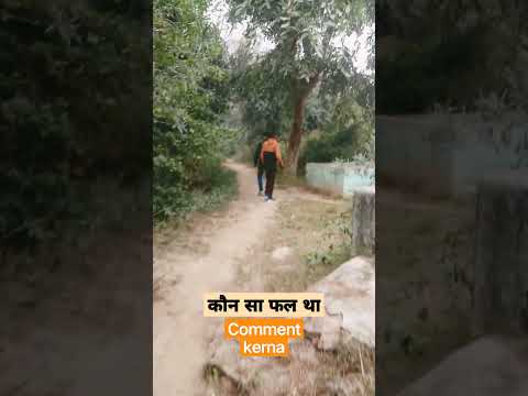08 एकड़ की बगिया❤️ रोमई हनुमंत नगरी❤️जयश्रीराम #shortvideo #short #youtubeshorts #trending