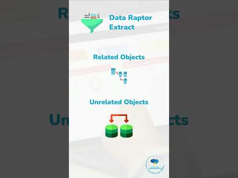 What are OmniStudio or VLocity DataRaptors?हिंदी मैं !#omnistudio#vlocity #DataRaptors#youtubeshorts