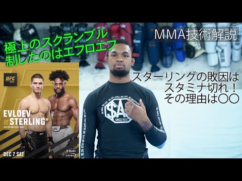 【UFC310】エフロエフvsスターリング【技術解説】