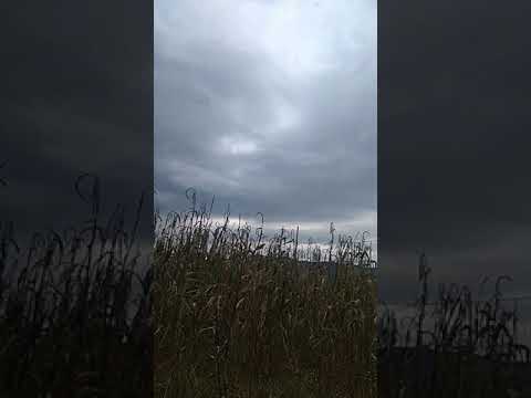dákiti 😎😎