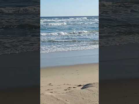 El tabo - playa #eltabo #nature #playa