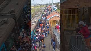 SA Train Experience