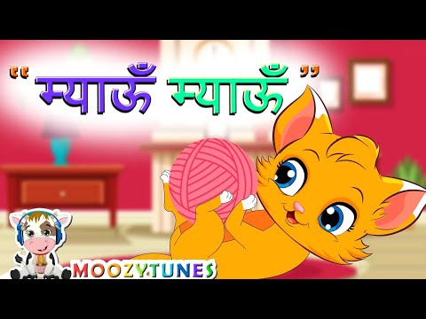 Meow Meow | Funny Kids Song | MoozyTunes #funny #meow #cat #billi #kidssongs #funnysong #songs