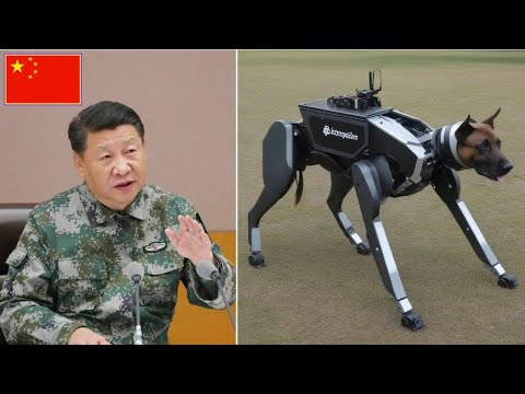 AI and Robotics: Pioneering the Future of Innovation