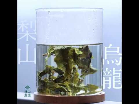 【 林山農選『茶原』🍵 梨山高山茶 】