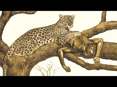 Ancient Predators That Hunted Our Ancestors