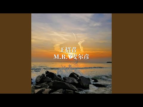 王招君 (DJ版)