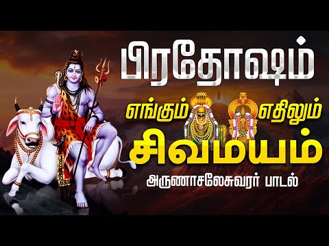 🔴 LIVE SONGS | பிரதோஷம் கேளுங்கள் எங்கும் சிவமயம் எதிலும் சிவமயம் Engum Sivamayam Sivan Song