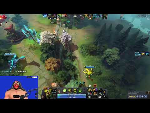 DOTA 2 how to play support