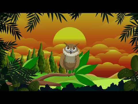 ⭐️Sleeping owl 🦉 | Sleepmusic & lullabies for babies and kids🌙🎶