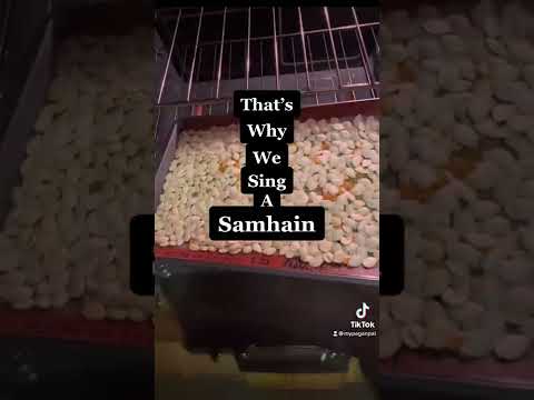 A Samhain Song! #mypaganpal #samhain #wicca #witch #altar #pagan #fall #witchcraft #leaves #pumpkin