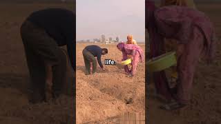 🕉️ Sanatana Dharma: The Eternal Science of Life Explained in 60 Seconds! | Ancient Wisdom for Today