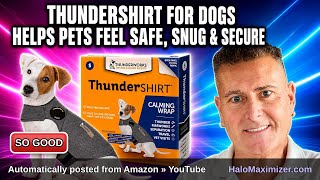 ThunderShirt for Dogs Helps Pets Feel Safe, Snug & Secure