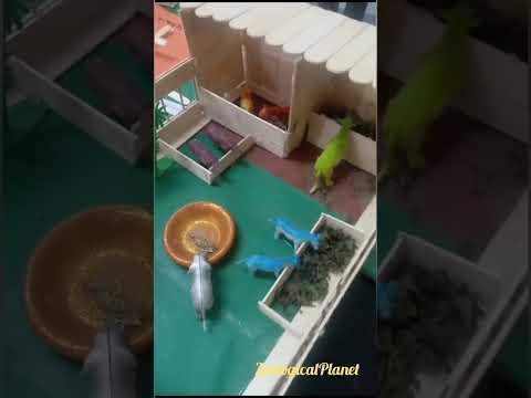 animal zoo|Zoological planet#wildlife #animals #animalkingdomclass11