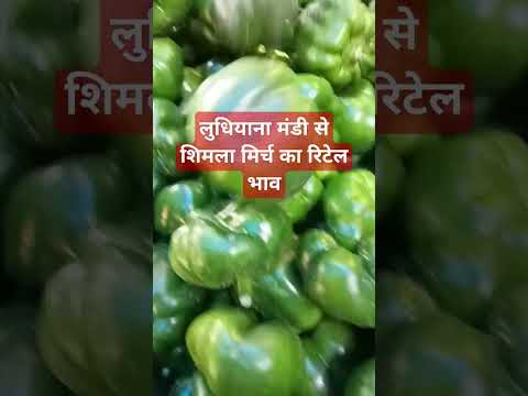 17 मार्च 2025 लुधियाना मंडी₹ शिमला मिर्च का रिटेल भाव#vegetableprice