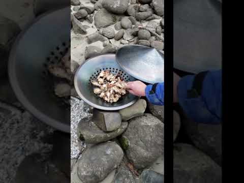 Using Metal Gold Pan & Screener To Quickly Cook Chicken Wings on Gold Claim