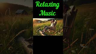 🎶 🎻Soft Classical Music for Relaxation✨  #relaxingmusic #relaxing