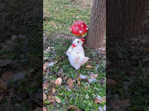 Snack Time Surprise: Adorable Baby Bunny Enjoys a Tasty Treat! #trending #cute #rabbit #shorts