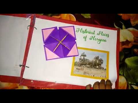 Social Science Project