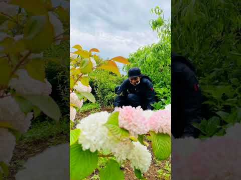 17 พฤษภาคม ค.ศ. 2025