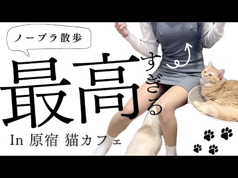 【ノーブラ散歩】猫とゆっくりな時間を過ごす！